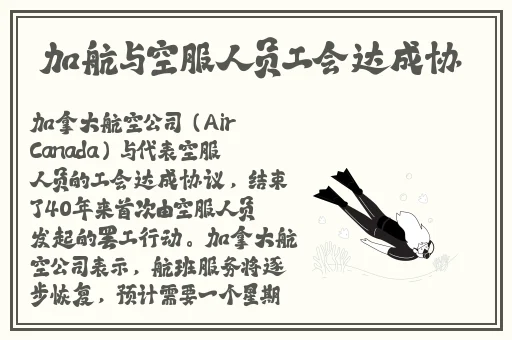 成品网站源码1688自动跳转